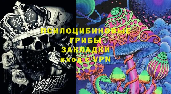 ПСИЛОЦИБИНОВЫЕ ГРИБЫ Богородск