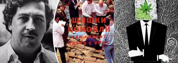 ПСИЛОЦИБИНОВЫЕ ГРИБЫ Богородск