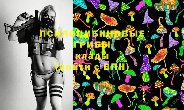 Альфа ПВП Богородицк
